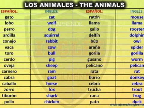 los animales en ingles escritura y pronunciacion – Aprende Inglés Más  Fácilmente